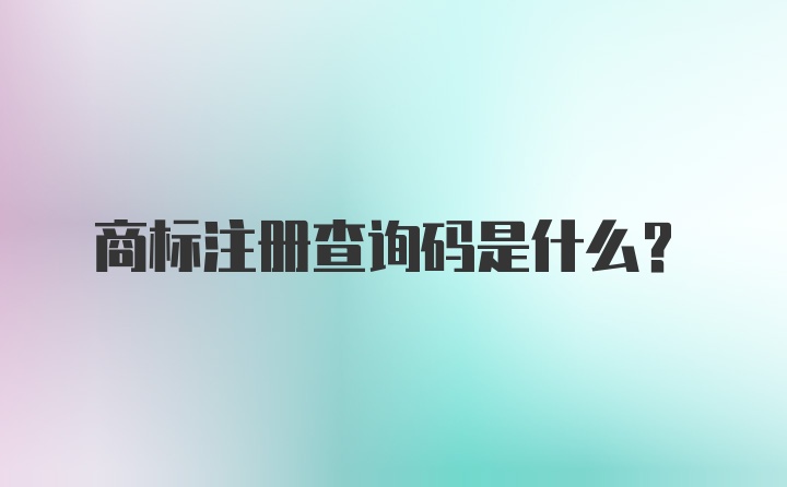 商标注册查询码是什么？