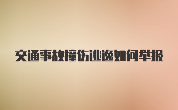 交通事故撞伤逃逸如何举报