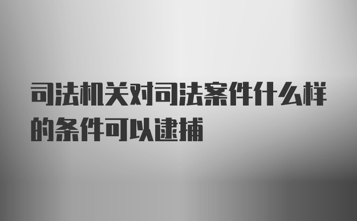 司法机关对司法案件什么样的条件可以逮捕