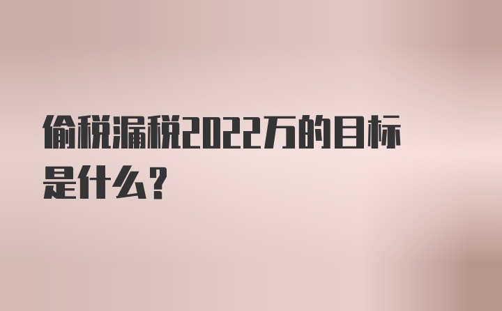 偷税漏税2022万的目标是什么？