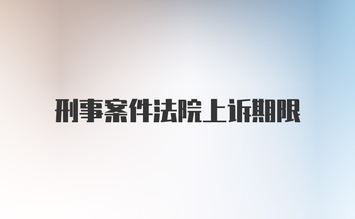 刑事案件法院上诉期限