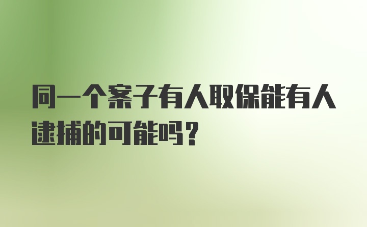 同一个案子有人取保能有人逮捕的可能吗?