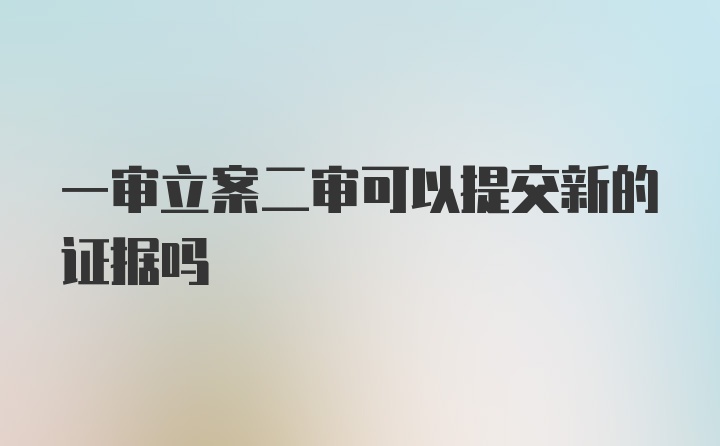 一审立案二审可以提交新的证据吗