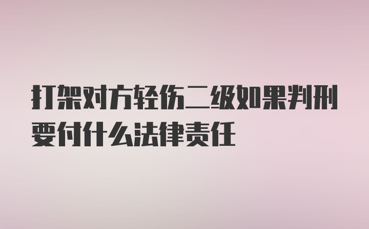 打架对方轻伤二级如果判刑要付什么法律责任