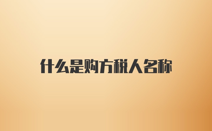 什么是购方税人名称