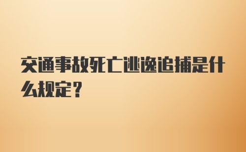 交通事故死亡逃逸追捕是什么规定？