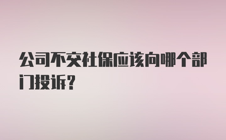 公司不交社保应该向哪个部门投诉？