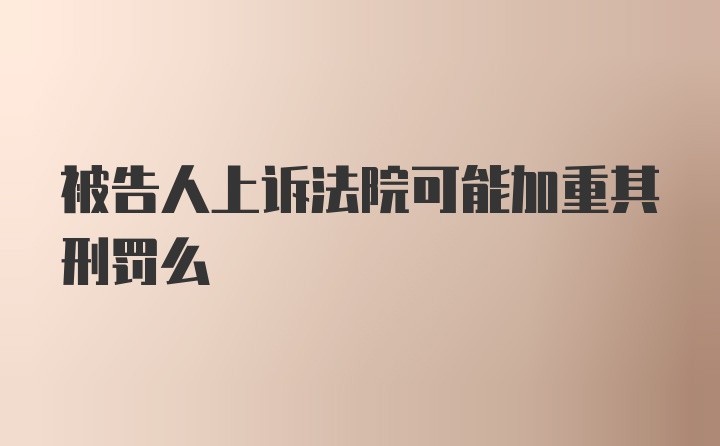 被告人上诉法院可能加重其刑罚么