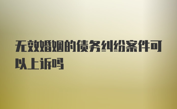 无效婚姻的债务纠纷案件可以上诉吗