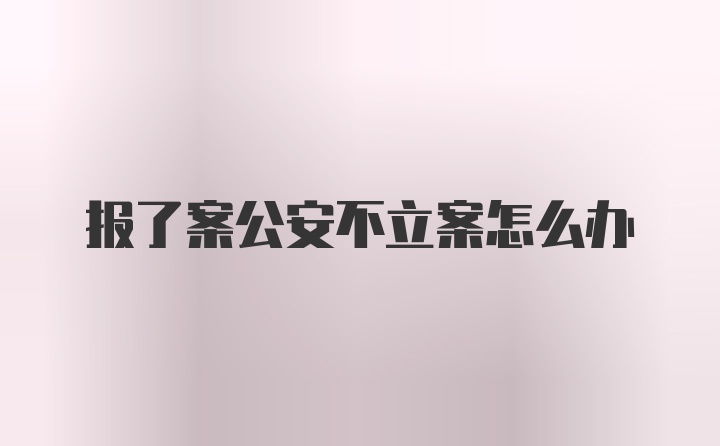 报了案公安不立案怎么办