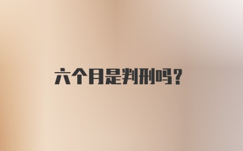 六个月是判刑吗？