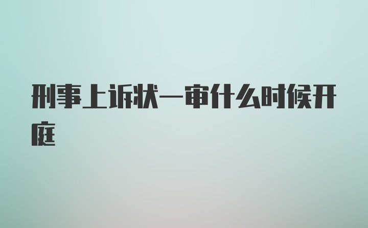 刑事上诉状一审什么时候开庭