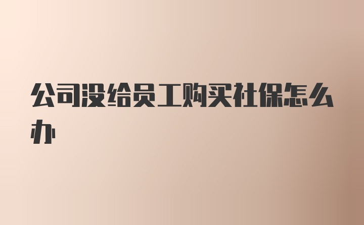 公司没给员工购买社保怎么办