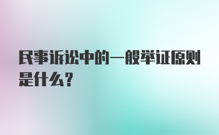 民事诉讼中的一般举证原则是什么？