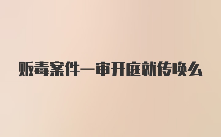 贩毒案件一审开庭就传唤么