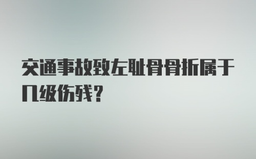 交通事故致左耻骨骨折属于几级伤残？