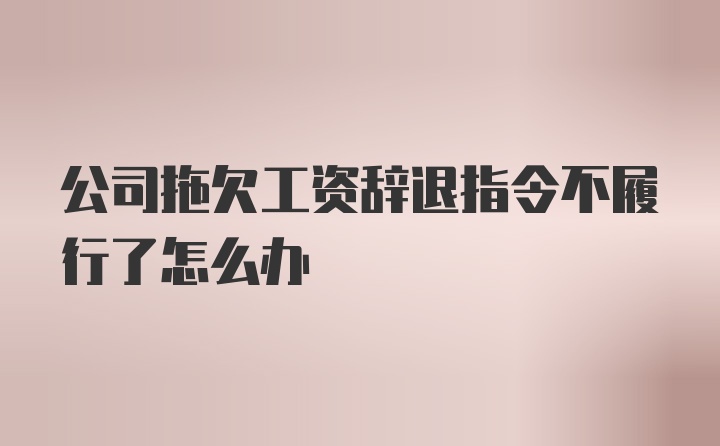 公司拖欠工资辞退指令不履行了怎么办