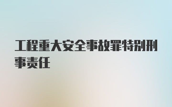 工程重大安全事故罪特别刑事责任