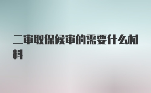 二审取保候审的需要什么材料