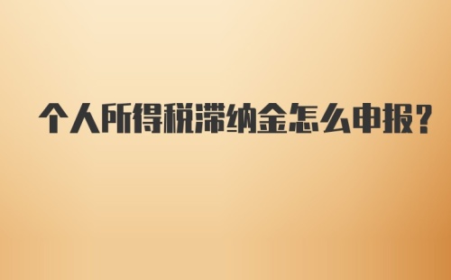 个人所得税滞纳金怎么申报？