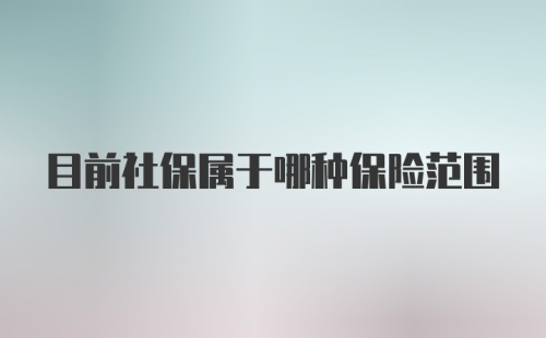 目前社保属于哪种保险范围