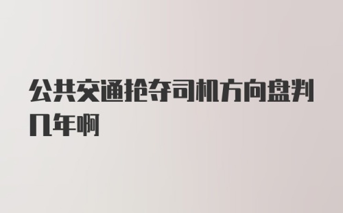 公共交通抢夺司机方向盘判几年啊