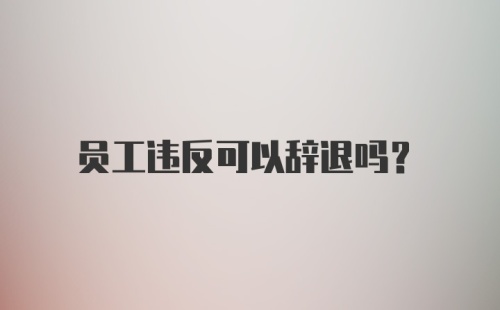 员工违反可以辞退吗?