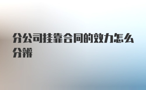 分公司挂靠合同的效力怎么分辨