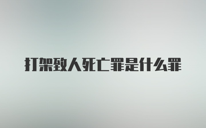 打架致人死亡罪是什么罪