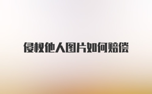 侵权他人图片如何赔偿