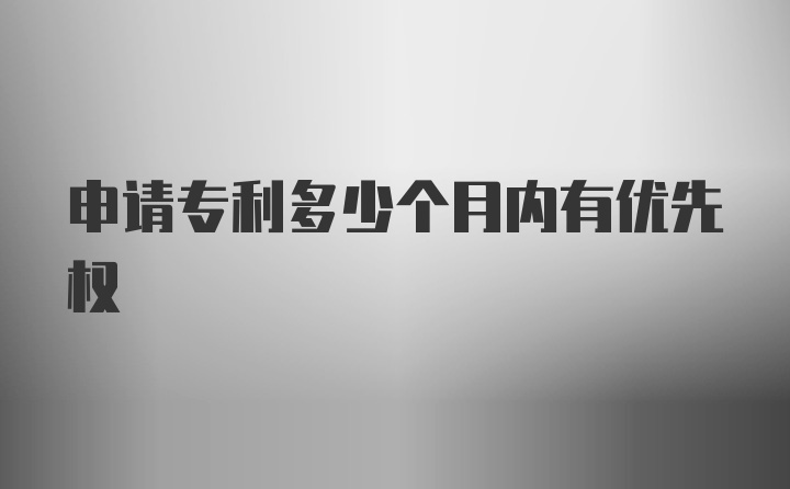 申请专利多少个月内有优先权