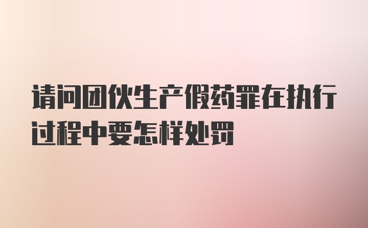 请问团伙生产假药罪在执行过程中要怎样处罚