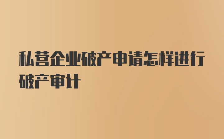 私营企业破产申请怎样进行破产审计