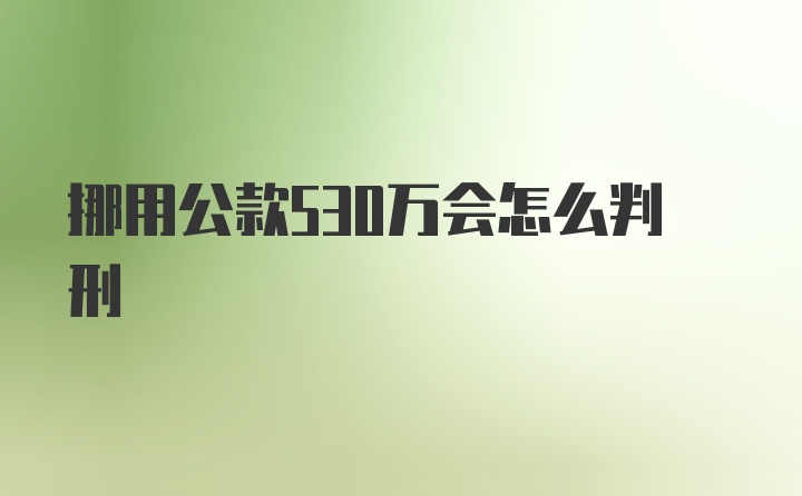 挪用公款530万会怎么判刑