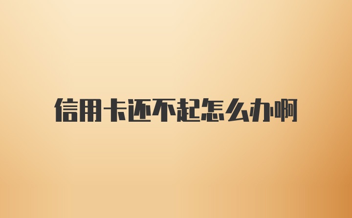 信用卡还不起怎么办啊