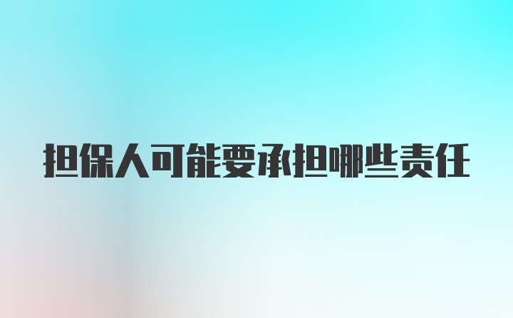 担保人可能要承担哪些责任