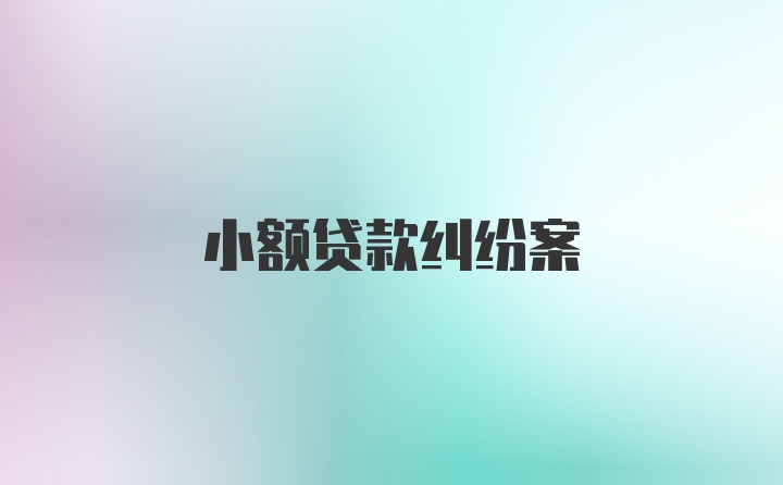 小额贷款纠纷案