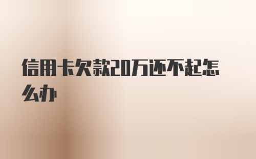 信用卡欠款20万还不起怎么办