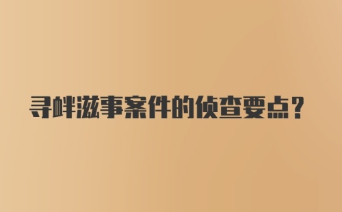 寻衅滋事案件的侦查要点？