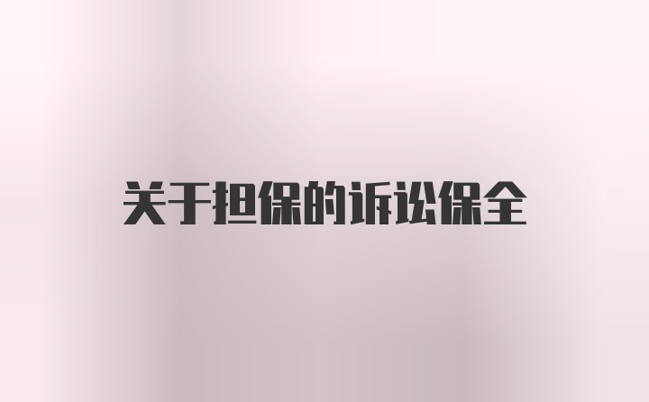 关于担保的诉讼保全