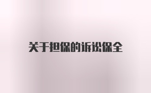 关于担保的诉讼保全