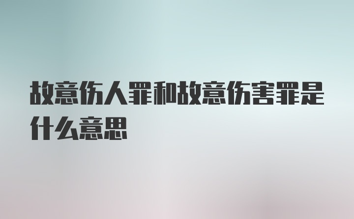 故意伤人罪和故意伤害罪是什么意思