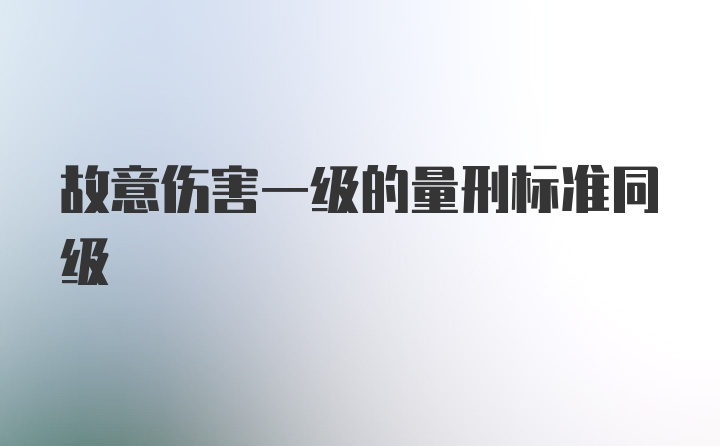 故意伤害一级的量刑标准同级