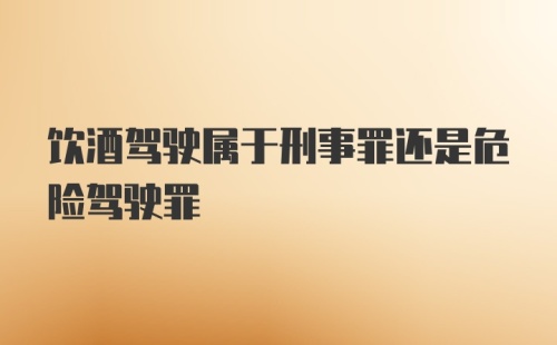 饮酒驾驶属于刑事罪还是危险驾驶罪