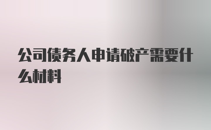 公司债务人申请破产需要什么材料