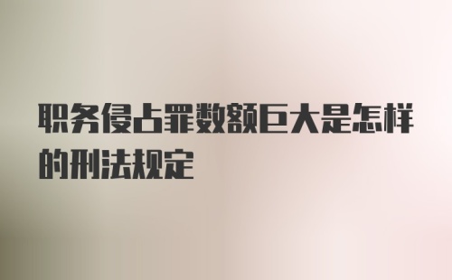 职务侵占罪数额巨大是怎样的刑法规定