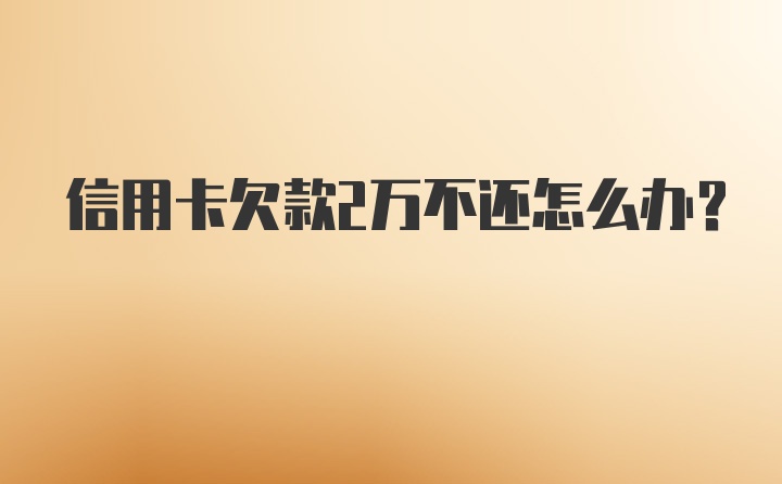 信用卡欠款2万不还怎么办？