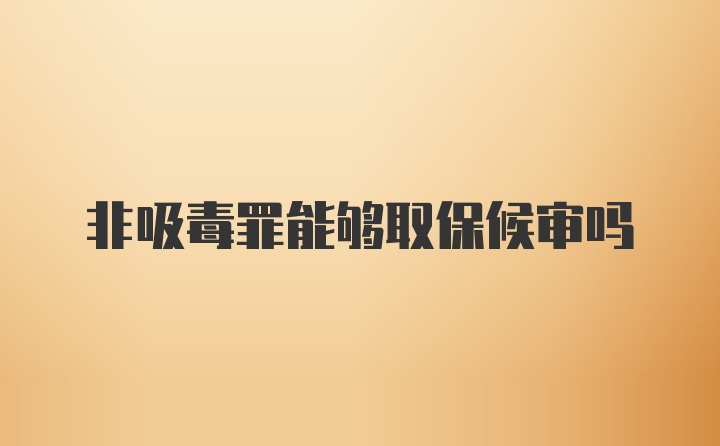 非吸毒罪能够取保候审吗