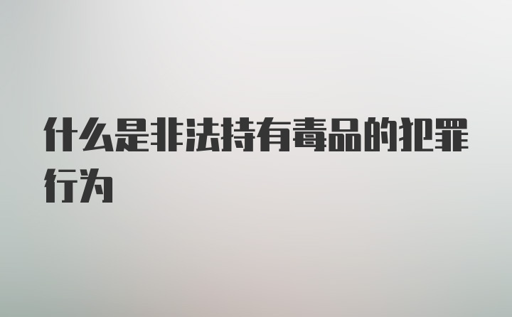 什么是非法持有毒品的犯罪行为