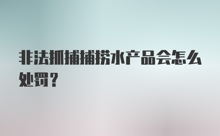 非法抓捕捕捞水产品会怎么处罚？